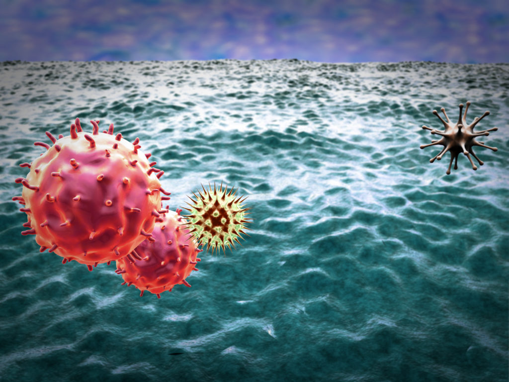 macrophages and virus