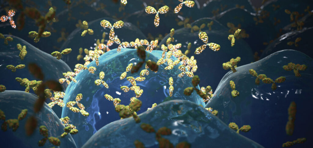 antibodies