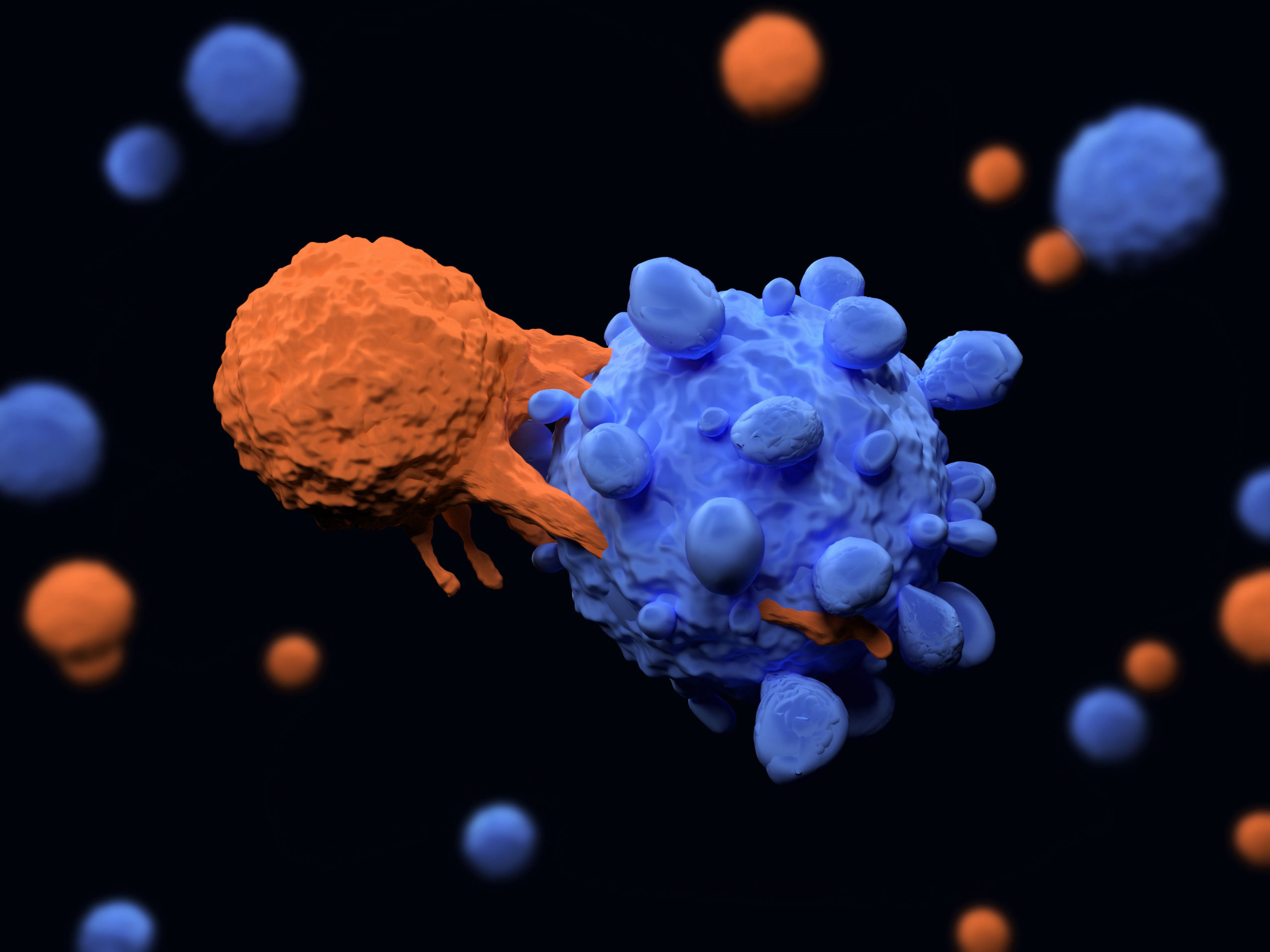 immune system T cell killing a cancer cell