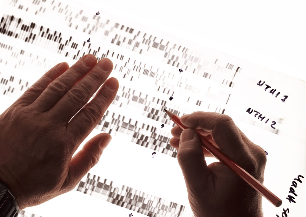 Criminologist studying DNA