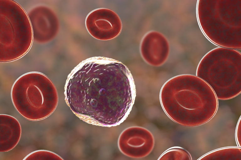 Halting Excessive Inflammation with New Way to Regulate Lymphocytes