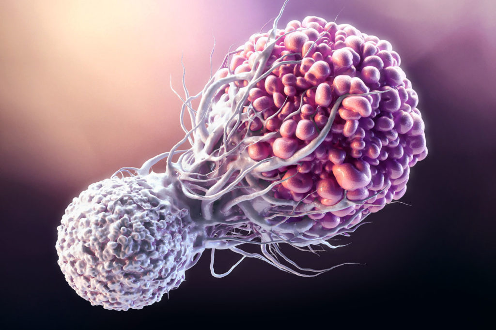 T cell fighting Cancer