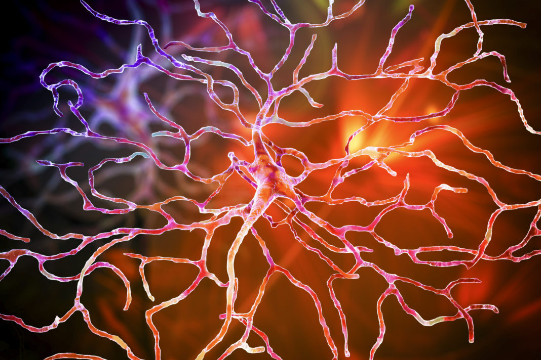 Retinal neuron, artwork