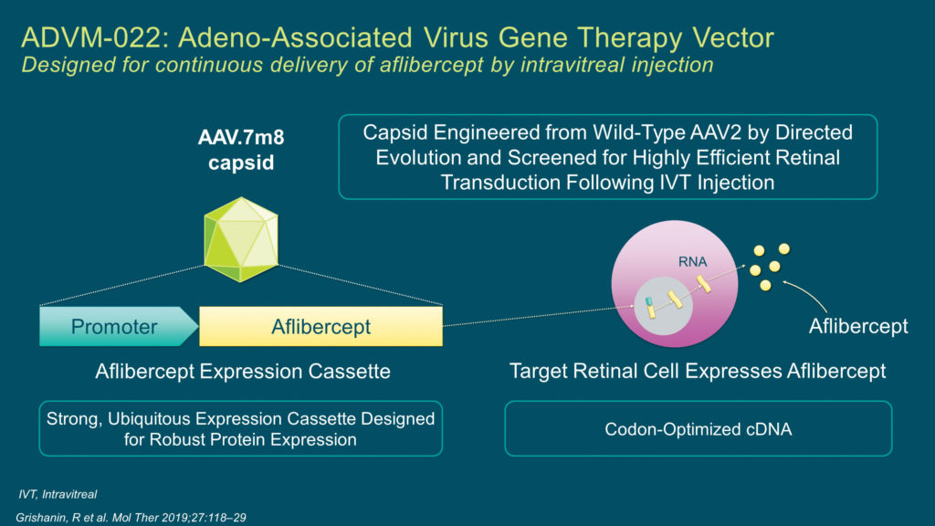 ADVM-022 gene therapy diagram
