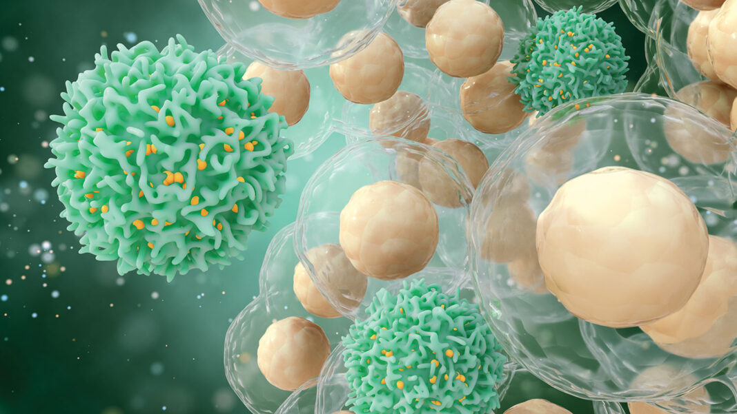 3d illustration of T cells or cancer cells.