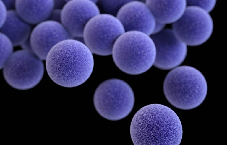 Antibiotic-Tolerant Bacteria Vulnerable to Hydrogen Sulfide Pathway Blockers