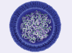 lipid nanoparticle