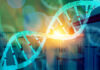 Genome Editing Accuracy to Get a Closer Look with BioSkryb Joining NIST