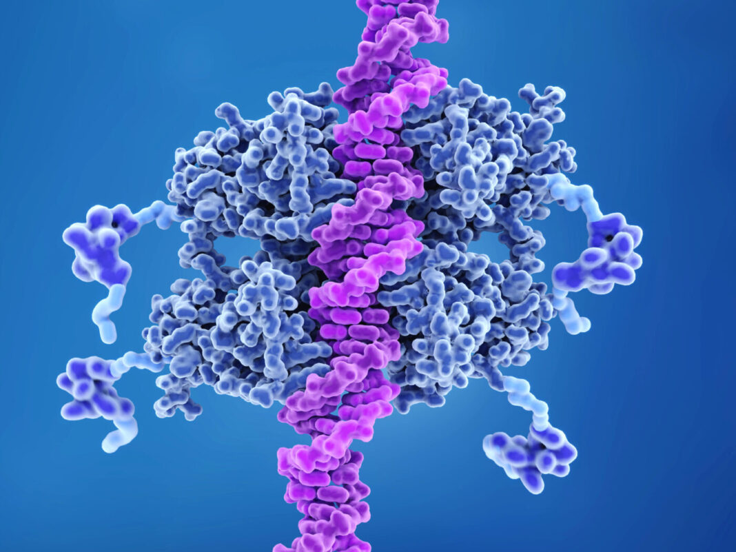 DNA binding to anti-cancer protein p53, illustration