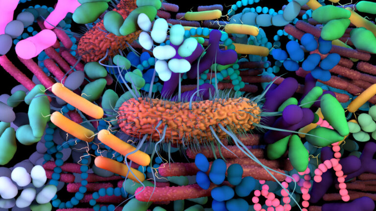 Monitoring Strains over Species in the Gut Microbiome