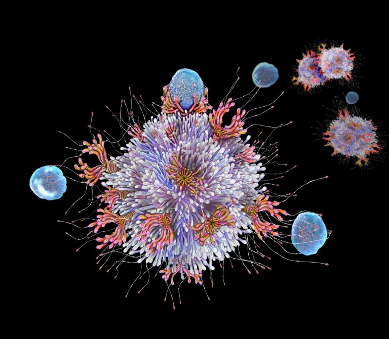 Newborns’ Innate-Like T Cells Respond in Early Stages of Infection