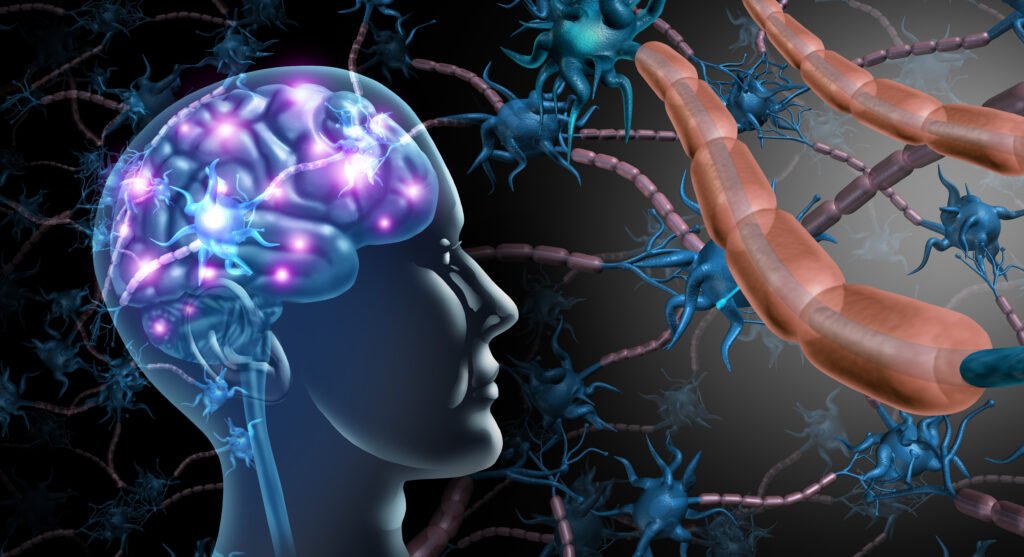 Head and brain and neurone