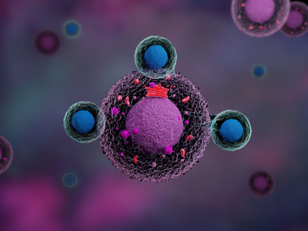 CAR T cells