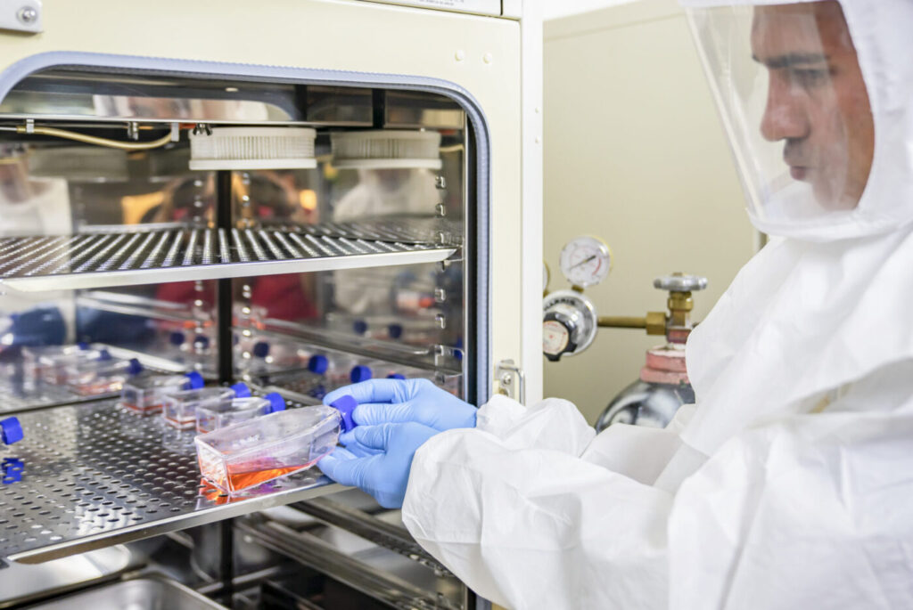 A scientist in sterile coverall gown placing cell culture flasks in the CO2 incubator. Doing biological research in clean environment. Cleanroom facility