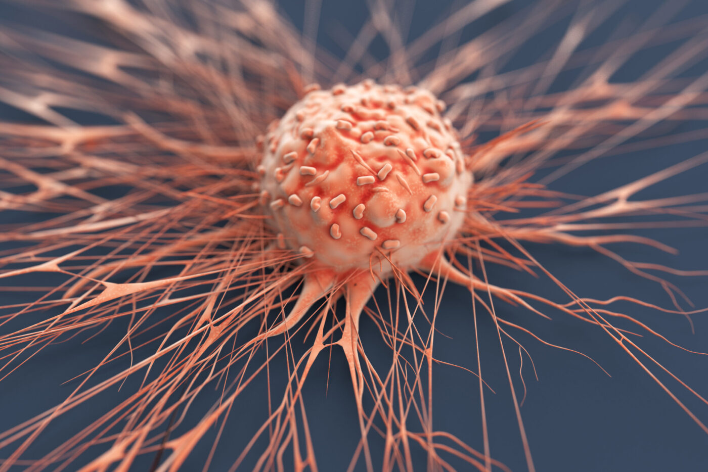 Cancer Cell Iron Addiction Exploited to Target Drug Conjugate to 