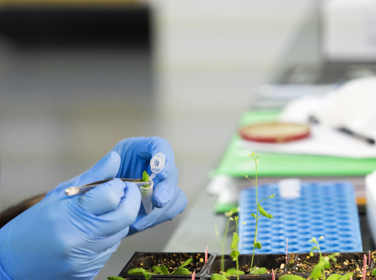 Why Biopharma Should Consider Plant-Based Manufacturing