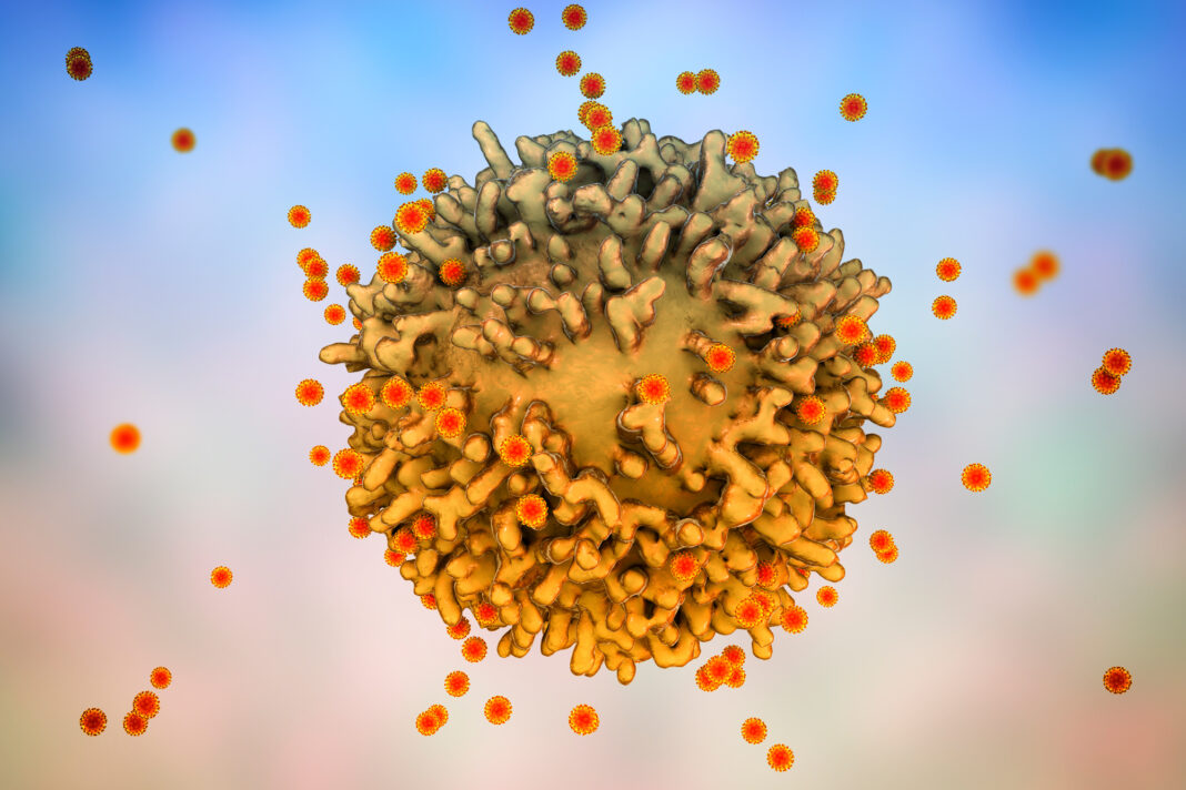 SARSCoV2 viruses Immune Cell
