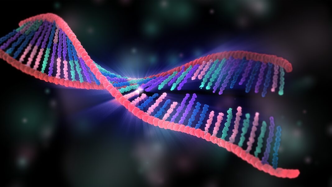 DNA binding process, illustration