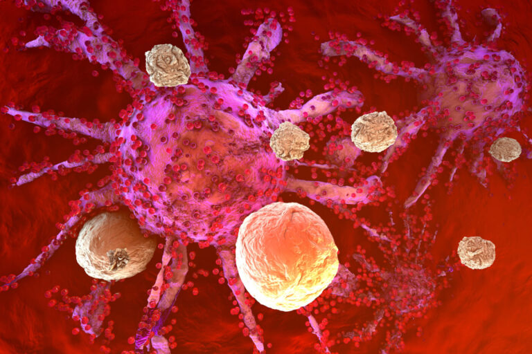 Breast Cancer Becomes Vulnerable to Immune Cells Through DDR1 Deactivation
