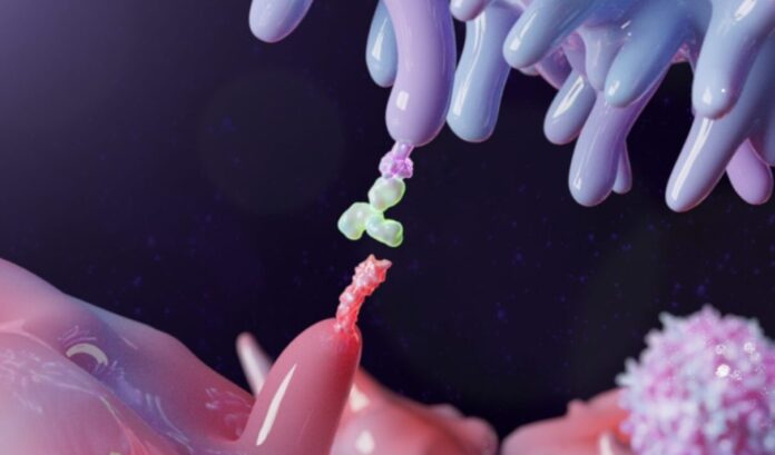 Therapeutic antibody blocking PD-1