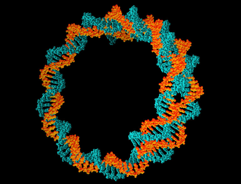 Plasmid Manufacturing Strategies for Diverse Therapeutic Candidates