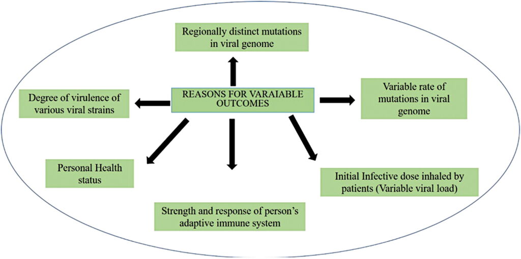 Viral Immunity Journal Figure 3