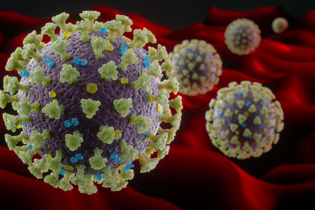 Coronavirus structure