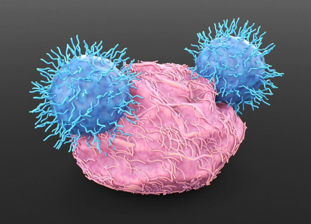 CAR T-Cell Immunotherapy