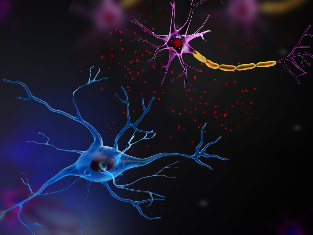 A microglial cell secreting exosomes towards a neuron