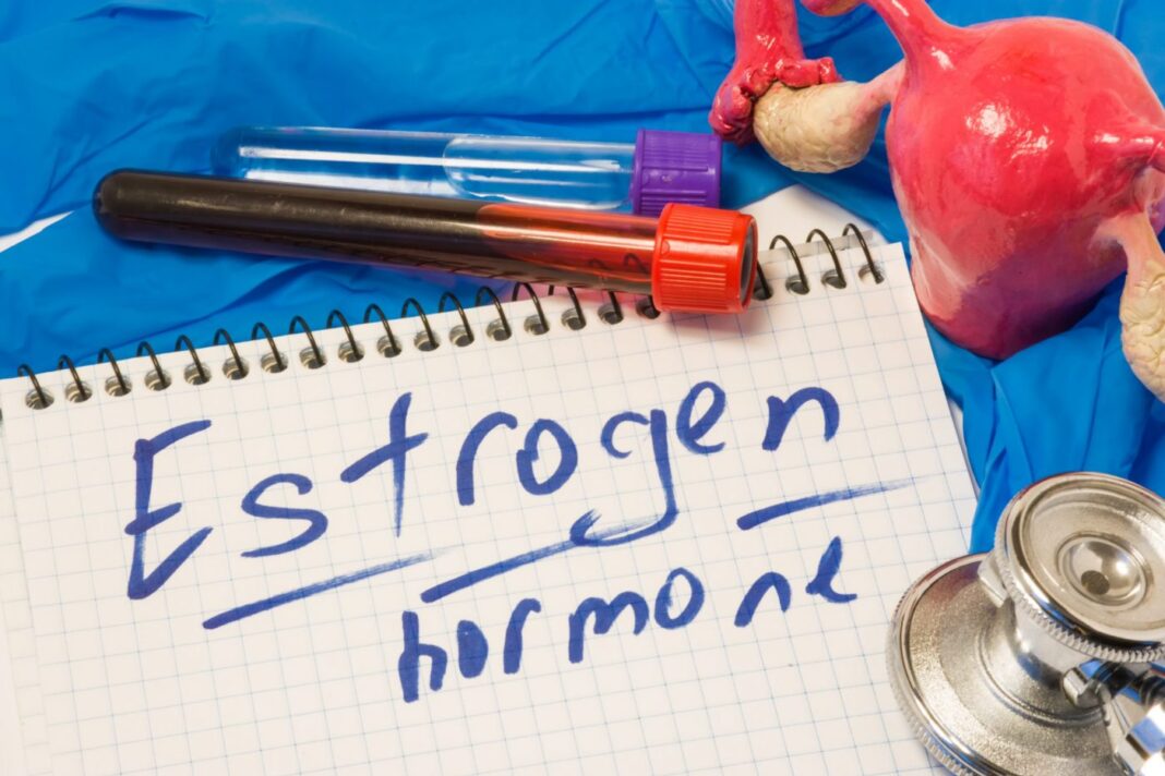 Estrogen hormone or enzyme as primary female sex hormone measuring  diagnostic concept. Uterus with ovaries, which produces this hormone, next to lab test tubes with blood and note with text estrogen