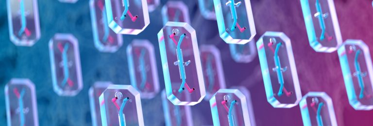Humanizing the Drug Discovery & Development Process with Organs-on-Chips