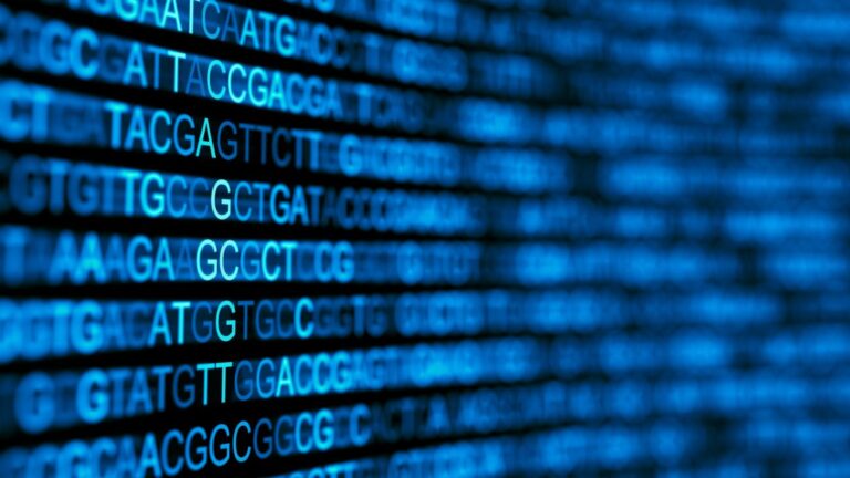 First Monkeypox Virus Genome Sequence from Patient of Current Outbreak
