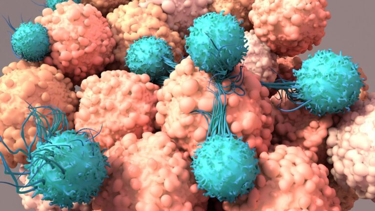 CAR T Cells “Loaded” with Oncolytic Viruses Boost Attack on Solid Tumors