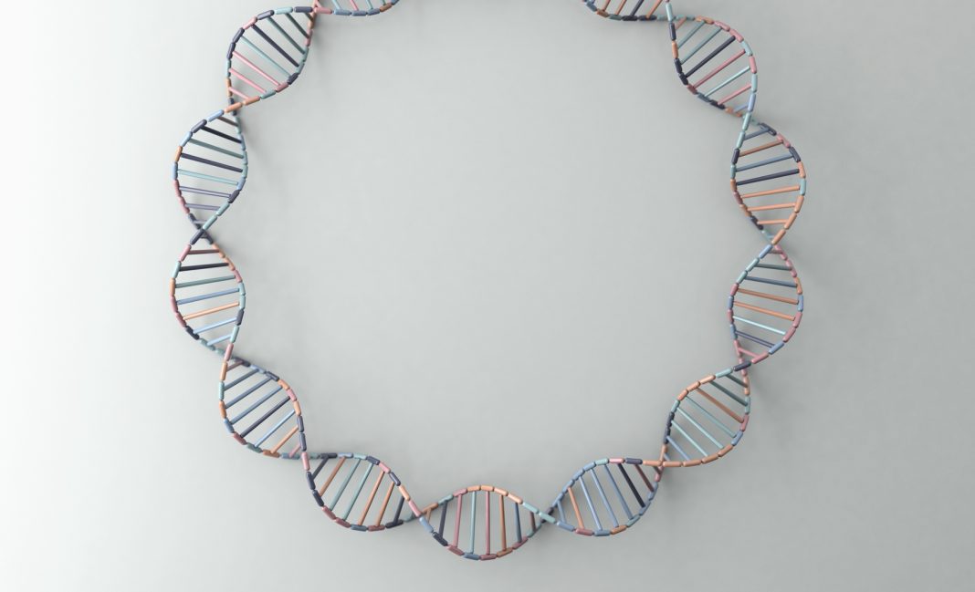 DNA helix resting against a pale grey backdrop