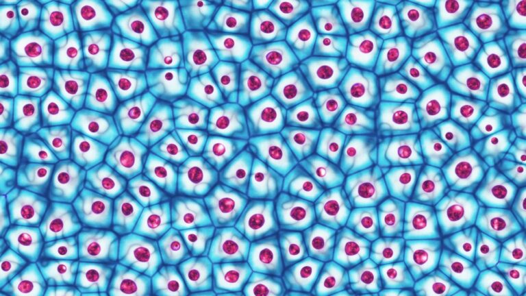 Capturing Live Cells with Counterflow Technology via Dead Cell Removal