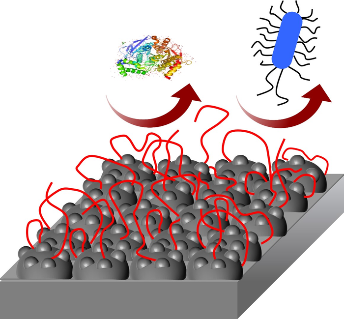 Silver Coating Process Nontoxic Silver Coating for Medical Implants Resists and Kills Bacteria