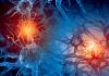 Nerve Regeneration Potentially Promoted by Novel Compound