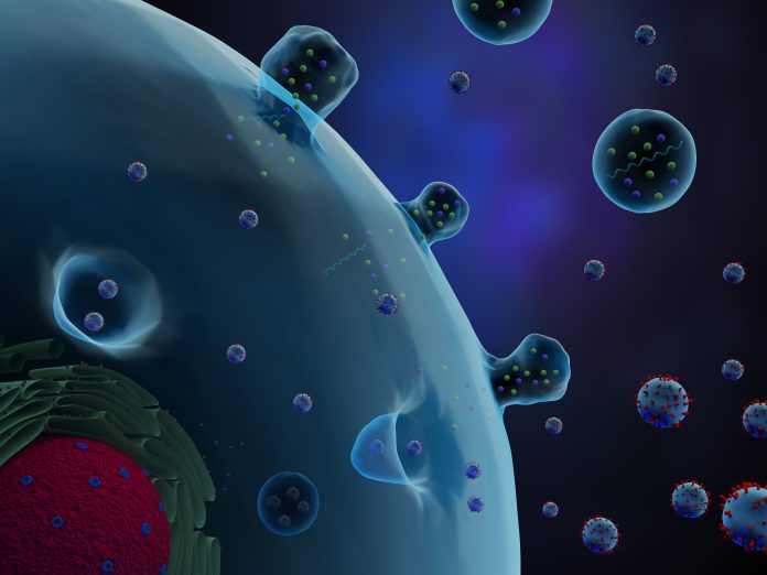 3d,Illustration,Of,A,Cell,Secreting,Exosomes,And,Microvesicles