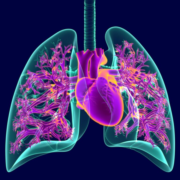 Cardiovascular Disease Risk Impacted by Allergic Asthma and Allergies