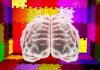 Amino Acid Deficit Impacts Perinatal Mouse Brain Development, Leading to Microcephaly, Autism Behaviors