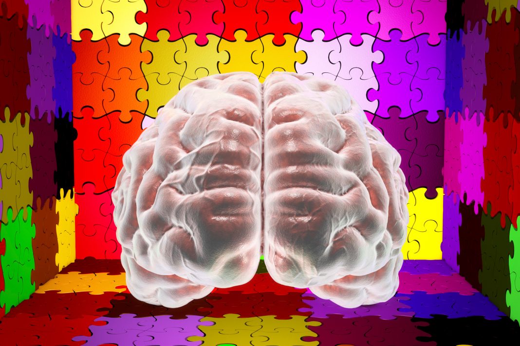 Autism, puzzle pieces and brain