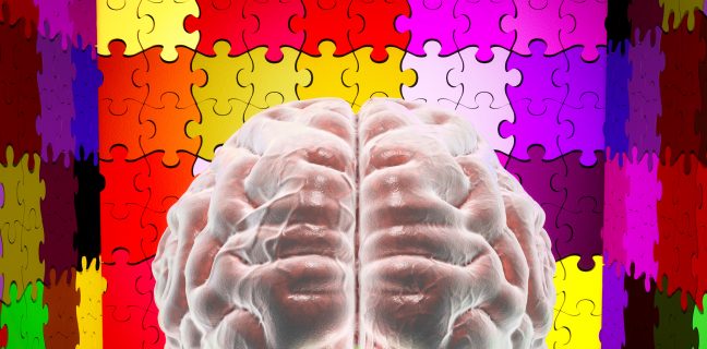 Autism, puzzle pieces and brain