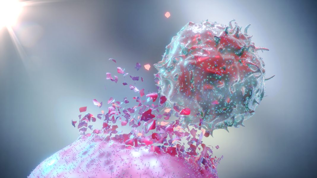 Natural Killer Cell (NK Cell) destroying a cancer cell