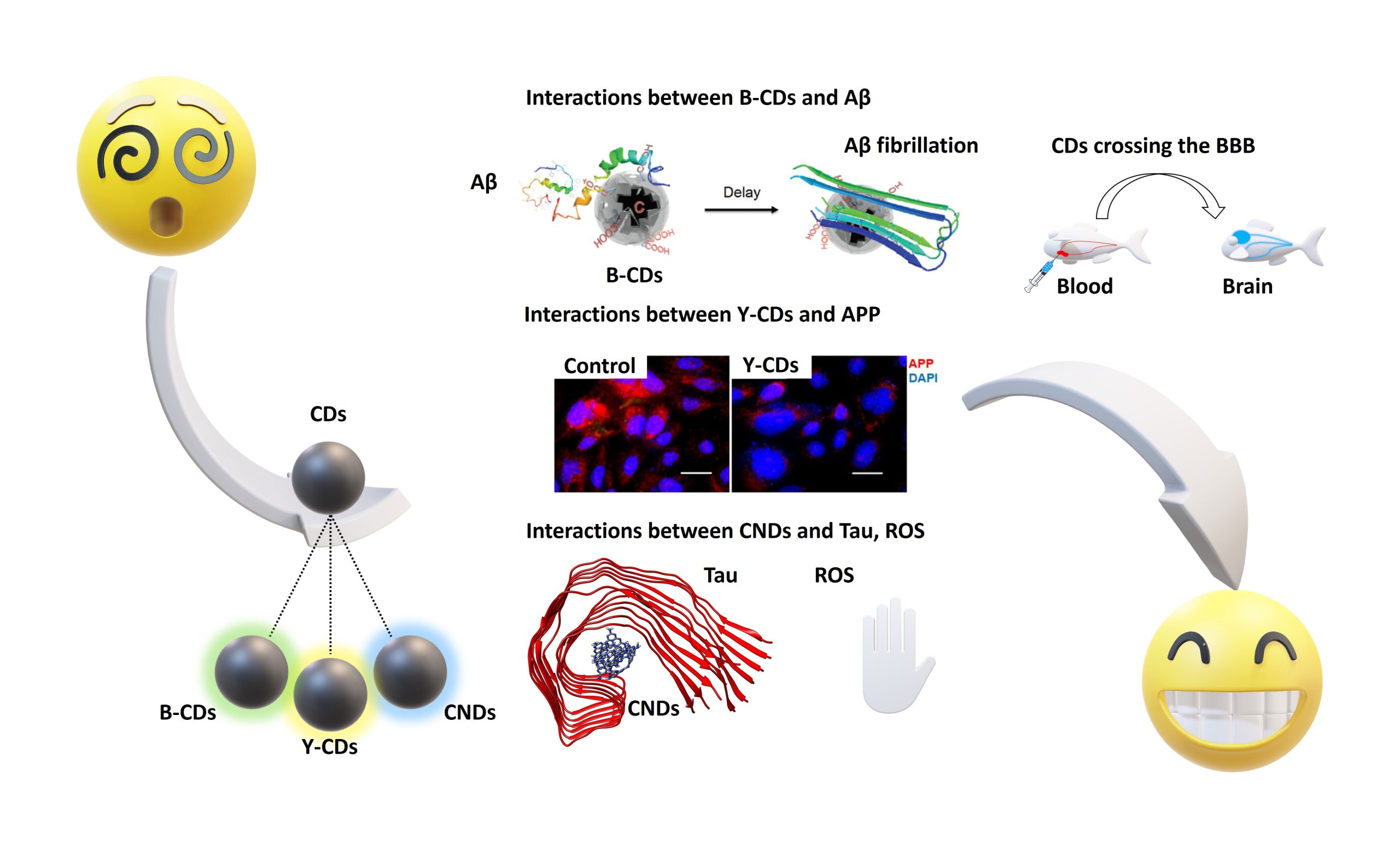 DD Tutorial Figure 3