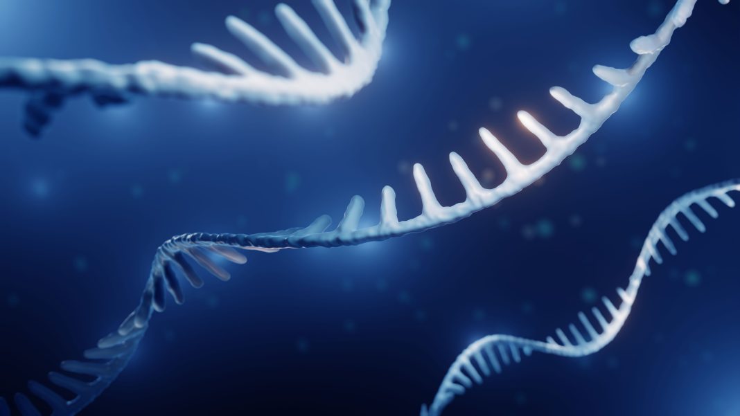 RNA, epigenetics concept