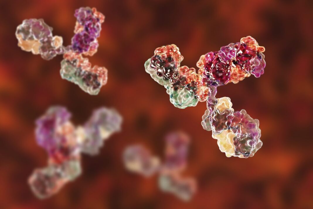 Immunoglobulin G antibody molecules, illustration