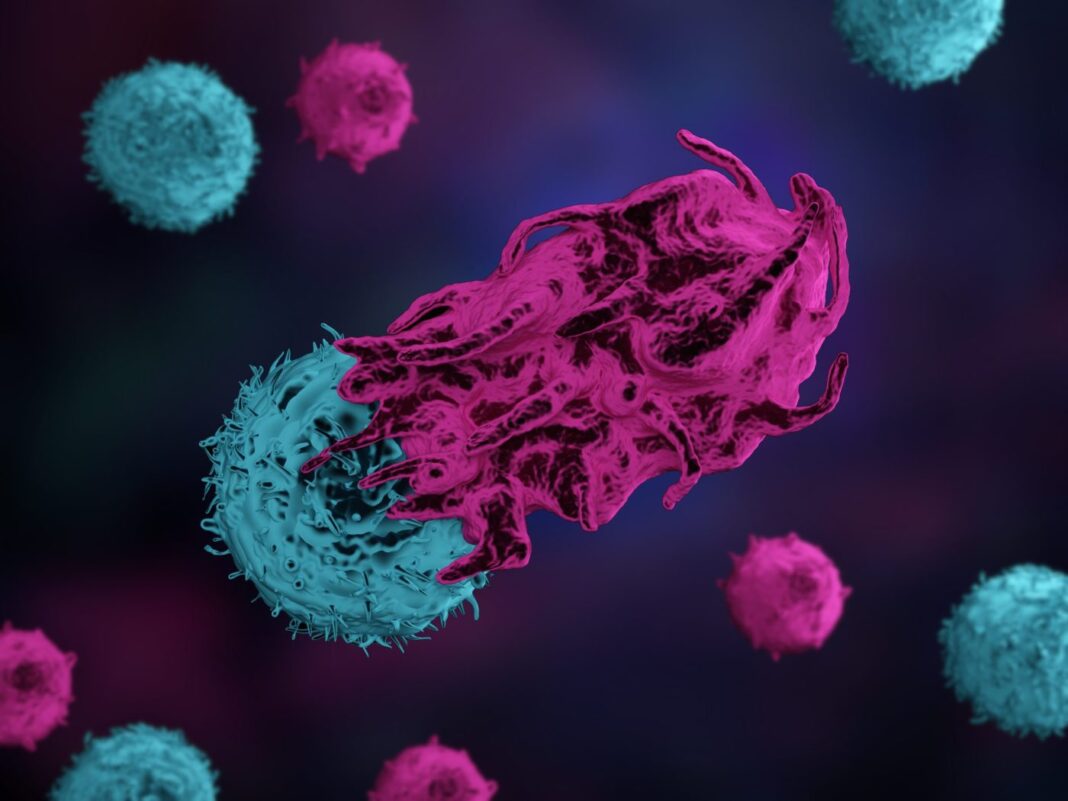 An immune T cell attacking a cancer cell