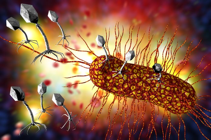 Getty-1264547051 Bacteriophage Virus 3D Illustration