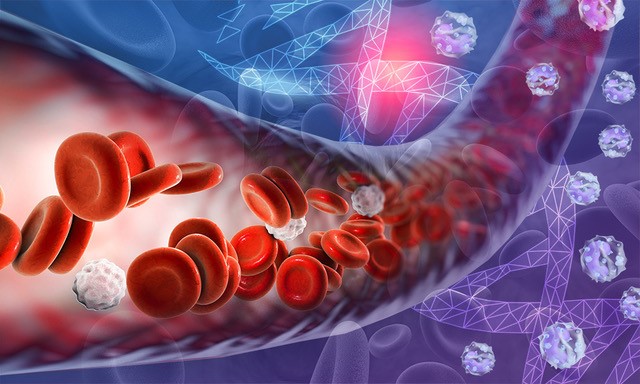 Mapping Cellular Trajectories through Crowded Blood Vessels