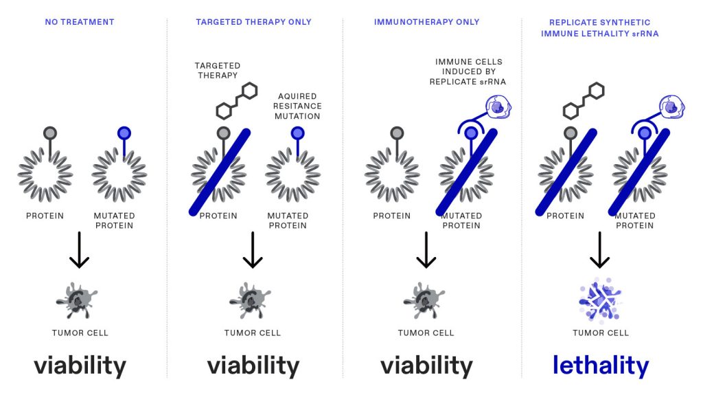 replicating mRNAs illustration